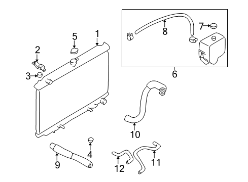 2001 Infiniti I30 Radiator & Components Hose-Lower Diagram for 21503-2Y000