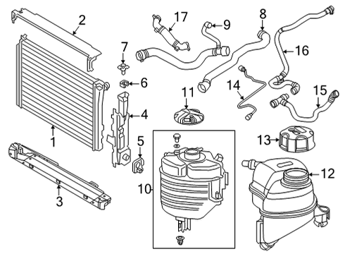 2022 BMW 230i Radiator & Components HOSE, RADIATOR Diagram for 17128654834