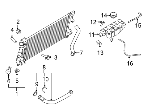 2016 Ford F-150 Radiator & Components Lower Hose Diagram for FL3Z-8286-D