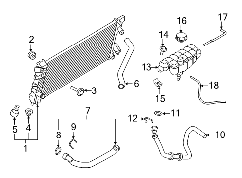 2019 Ford F-150 Radiator & Components Lower Hose Diagram for FL3Z-8286-B