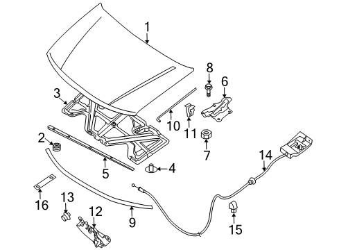 2008 Nissan Pathfinder Hood & Components Male Assy-Hood Lock Diagram for 65601-ZS00A