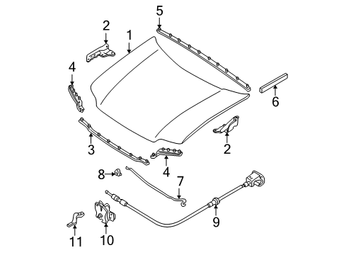 2002 Ford Escape Hood & Components Side Seal Diagram for 3L8Z-7825354-A