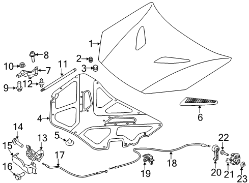 2013 Hyundai Genesis Coupe Hood & Components Screw-Tapping Diagram for 12431-06203