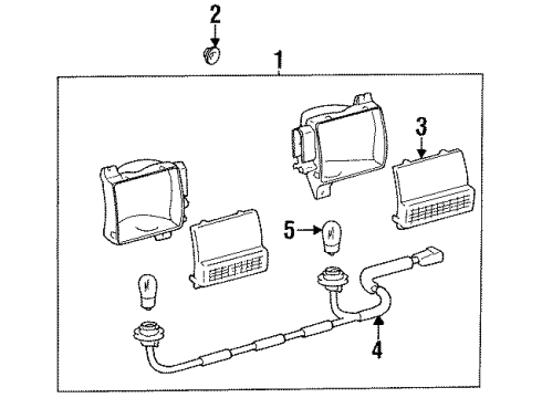 1995 Toyota MR2 Backup Lamps Socket & Wire, Back-Up Lamp Diagram for 81675-17020