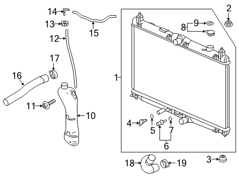 2022 Honda Insight Radiator & Components HOSE, WATER (LOWER) Diagram for 19502-6L2-A00