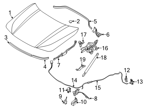 2020 BMW X2 Hood & Components Front Engine Hood Sealing Diagram for 51767462094