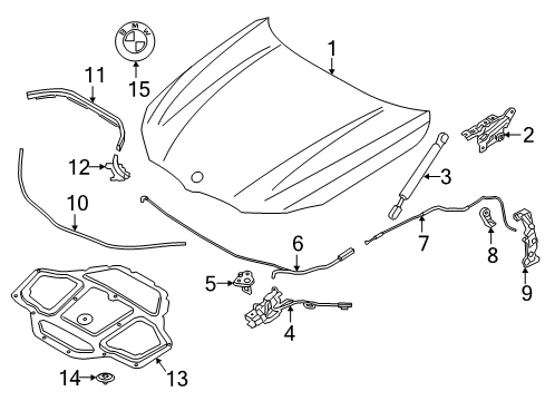 2019 BMW 530e Hood & Components Seal, Engine Bonnet, Front Diagram for 51767349599