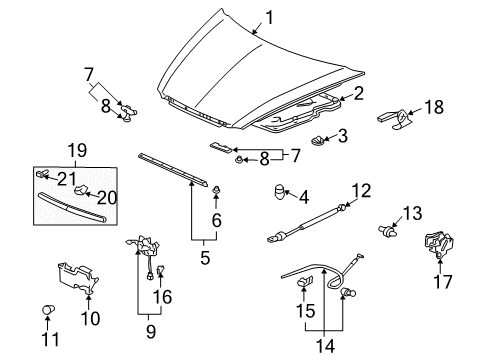 2004 Acura TL Hood & Components Hinge, Driver Side Hood Diagram for 60170-SEP-A00ZZ