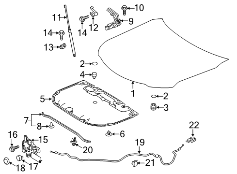 2018 Toyota Camry Hood & Components Release Handle Diagram for 53601-52010-P2