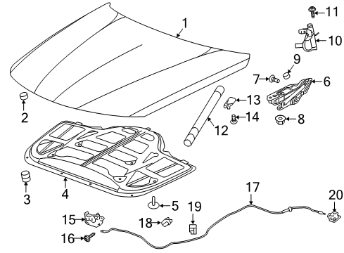 2017 Cadillac CT6 Hood & Components Hinge Bolt Diagram for 11548145