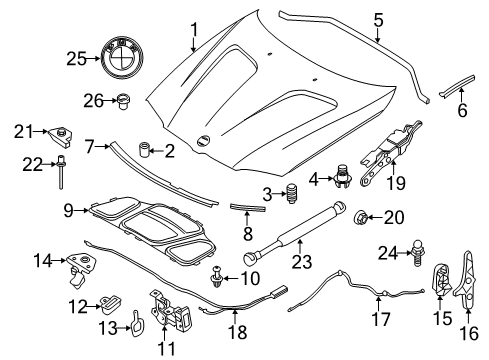 2011 BMW X3 Hood & Components Left Engine Hood Hinge Diagram for 41617262875