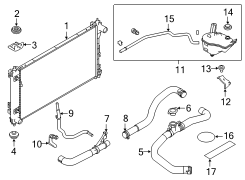 2019 Nissan Altima Radiator & Components Hose-Lower Diagram for 21503-6CB0A