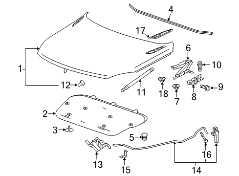 2011 Buick Regal Hood & Components, Exterior Trim Hood Diagram for 20989165