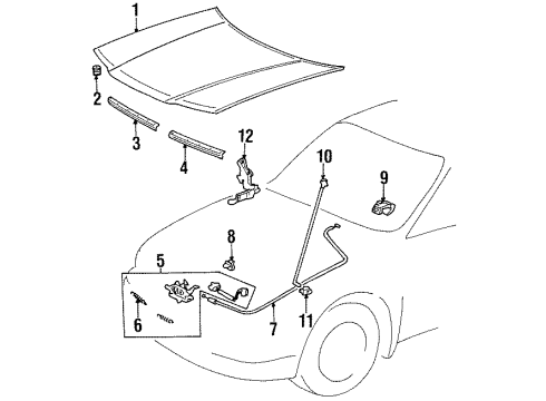 1995 Toyota Tercel Hood & Components Lock Assembly, Hood Diagram for 53510-16280