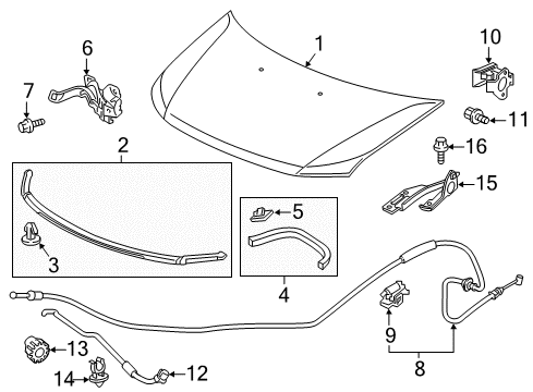 2014 Honda Odyssey Hood & Components Rubber, L. Hood Seal Diagram for 74196-TK8-A11