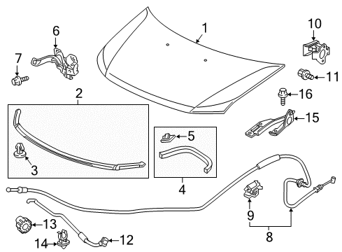 2014 Honda Odyssey Hood & Components Wire Assembly, Hood Diagram for 74130-TK8-A11