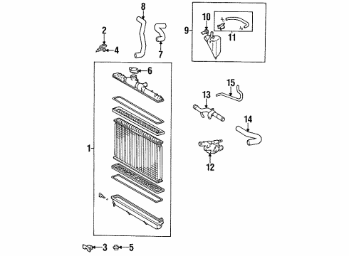 1996 Toyota Tercel Radiator & Components Upper Hose Diagram for 16571-11240