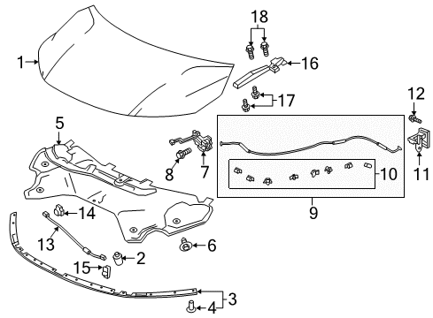 2019 Honda Odyssey Hood & Components Stay, Hood Open Diagram for 74145-THR-A00