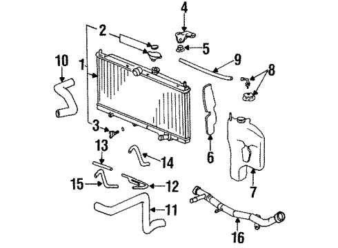 1997 Honda Accord Radiator & Components Hose, Water (Upper) Diagram for 19501-P0A-000