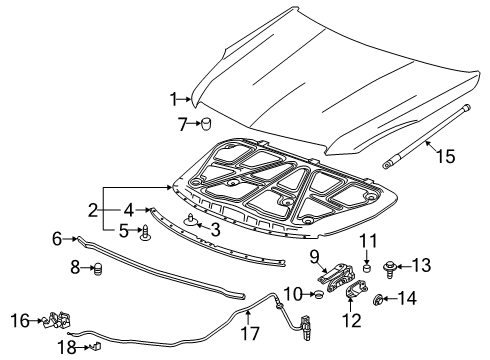 2013 Cadillac XTS Hood & Components Hinge Diagram for 20932058