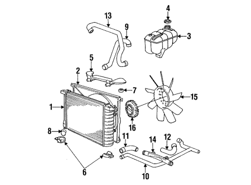 1992 BMW 325i Radiator & Components, Cooling Fan Radiator Hose Lower Diagram for 11531726344