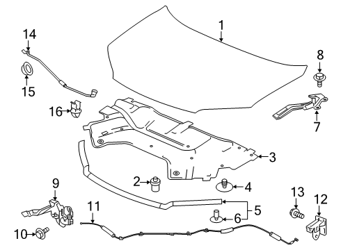 2020 Honda Passport Hood & Components Seal, Hood Rubber Diagram for 74146-TG7-A01