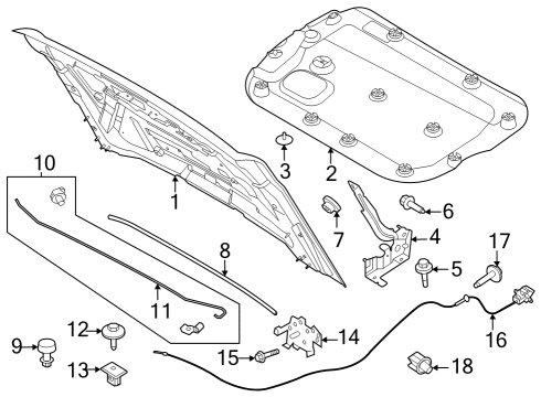 2021 Ford Bronco Hood & Components NUT Diagram for -W721783-S300
