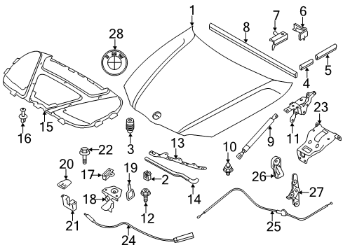 2013 BMW 128i Hood & Components Reinforcement Support Lock Diagram for 51647123405