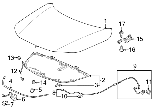 Hood & Components Cushion, Hood Diagram for 74175TLAA01