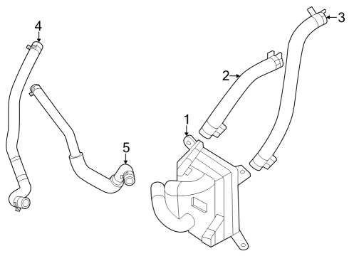1993 Ford Crown Victoria Oil Cooler HOSE-OIL COOLING Diagram for 25421L0800