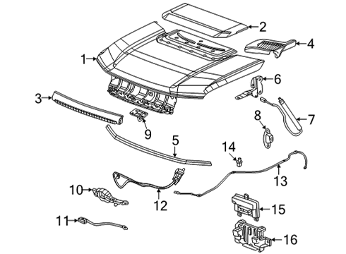 Hood & Components Scoop Nut Diagram for 11611054