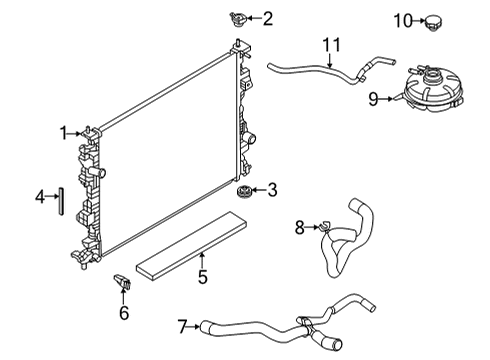 Radiator & Components HOSE - RADIATOR Diagram for LX6Z8286X