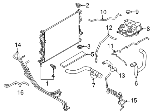 Radiator & Components HOSE - RADIATOR Diagram for LX6Z8260B