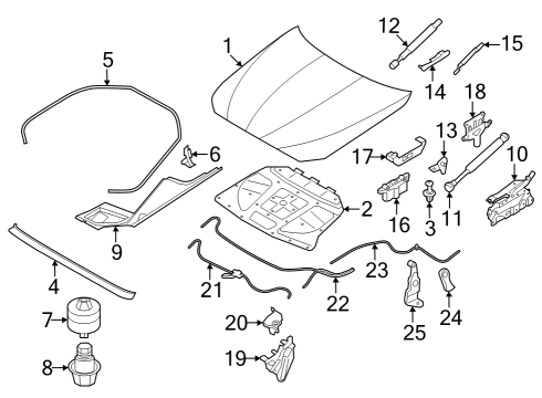 2015 BMW 535d xDrive Hood & Components Lock, Bonnet Active, Left Diagram for 51237184441