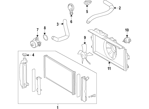 2006 Toyota Corolla Cooling System, Radiator, Water Pump, Cooling Fan Water Pump Diagram for 1610029146