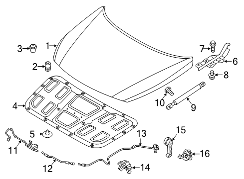 2019 Hyundai Sonata Hood & Components Pad-Hood Insulating Diagram for 81125C2500