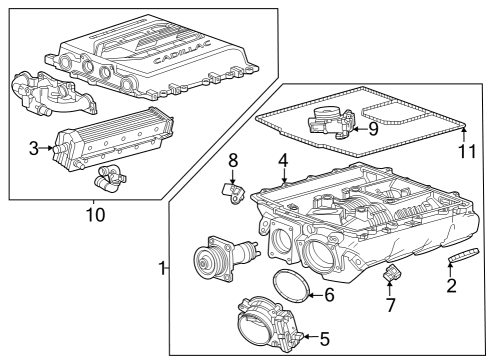 Throttle Body O-Ring Diagram for 55490568