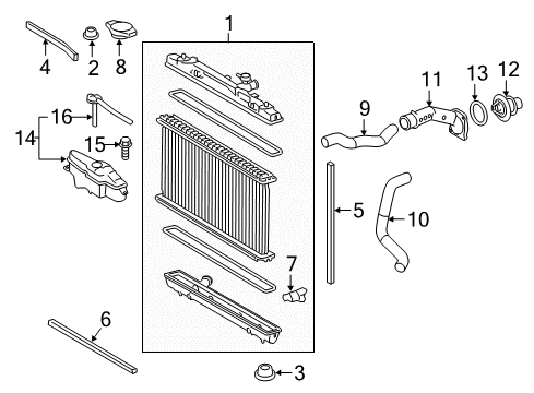 2015 Toyota Camry Radiator & Components Radiator Lower Seal Diagram for 165620V040
