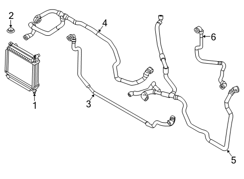 2022 BMW X3 Radiator & Components HOSE, RADIATOR Diagram for 17128053462