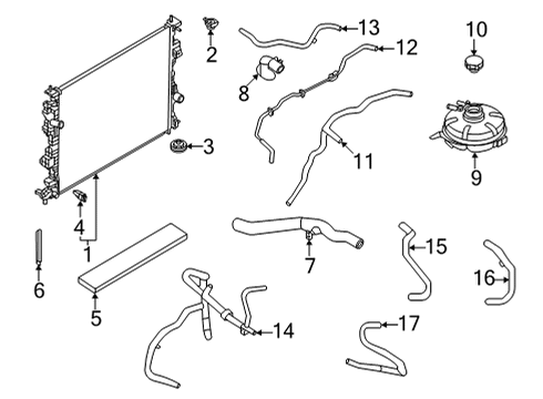 Radiator & Components HOSE - HEATER WATER Diagram for LX6Z18472BAD