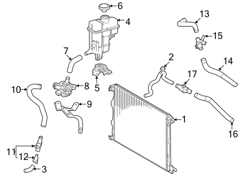 Intercooler Hose Assembly Drain Plug Diagram for 1640764010