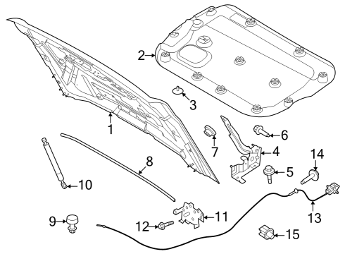 2022 Ford Bronco Hood & Components LIFT ASY - GAS Diagram for N2DZ16C826A