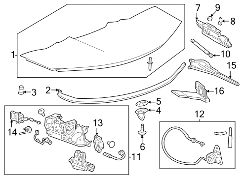 Trunk Lid & Components, Exterior Trim Lock Cylinder Nut Diagram for 11546545