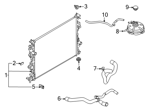 2022 Ford Escape Radiator & Components HOSE - RADIATOR Diagram for LX6Z8286H