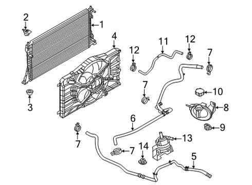 2021 Ford Mustang Mach-E Radiator & Components HOSE - OVERFLOW Diagram for LJ9Z8075A