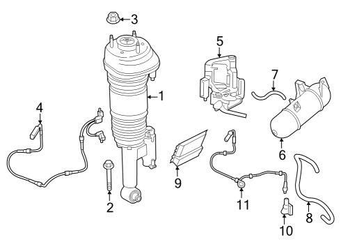 Struts & Components - Rear Hex Nut Diagram for 33506883897