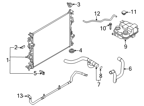 2022 Ford Escape Radiator & Components HOSE - RADIATOR Diagram for LX6Z8286K