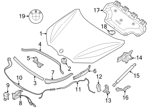 Hood & Components Combination Bracket, Left Diagram for 51237326517