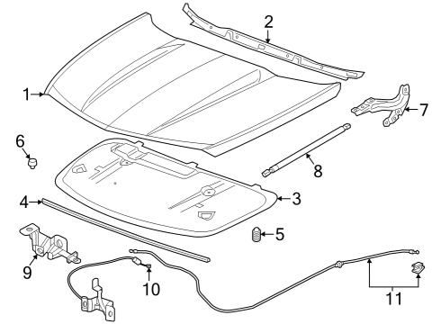 2002 Ford Excursion Hood & Components INSULATOR-HOOD Diagram for 42803099