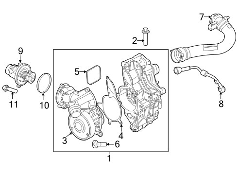 Water Pump Torx-Bolt With Washer Diagram for 07129905516
